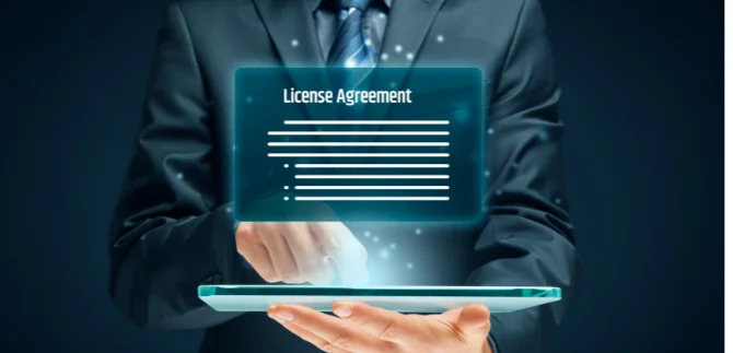 Expert services for software development licensing agreements
